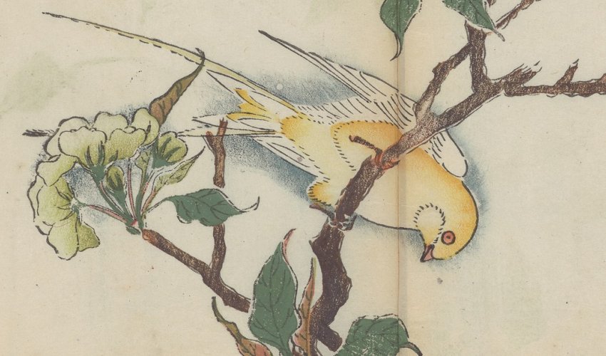 Inside the world's oldest multicolor printed book