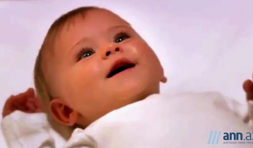 OBYEKTİVDƏ: Süd pulu - ANN.TV