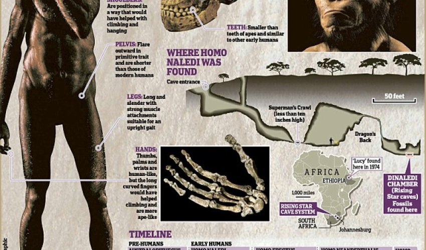 Is this the first human?