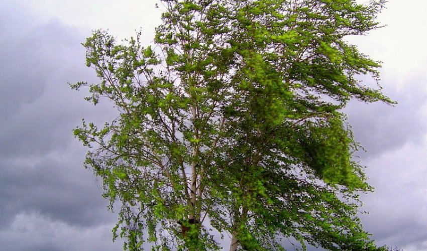 Baku weather forecast for Sep. 12