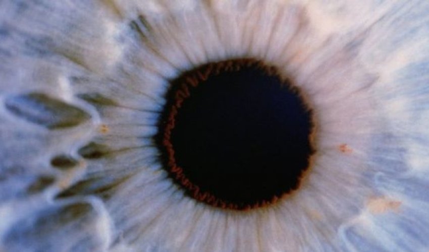 How can scientists 'cure' blindness? How can scientists 'cure' blindness?