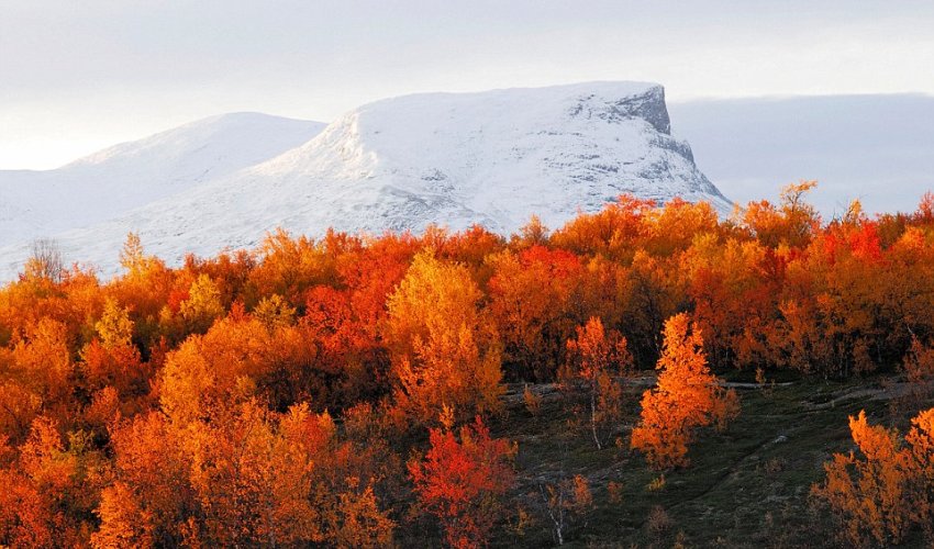 These are the places where autumn leaves look the most magical