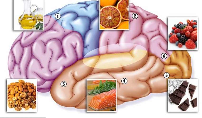 Scientists prove you CAN eat your way to a sharper mind