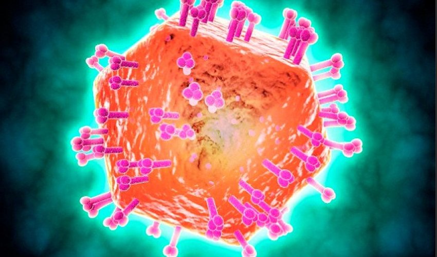 HIV breakthrough could lead to a CURE