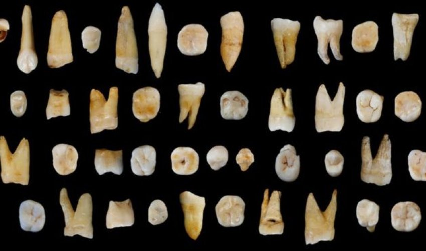Fossil teeth place humans in Asia '20,000 years early'