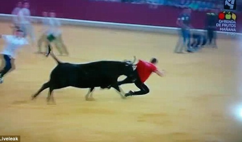 Bull runner is humiliated