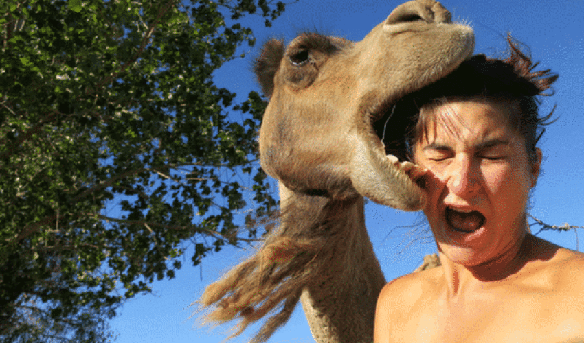 The dangerous art of the ultimate selfie