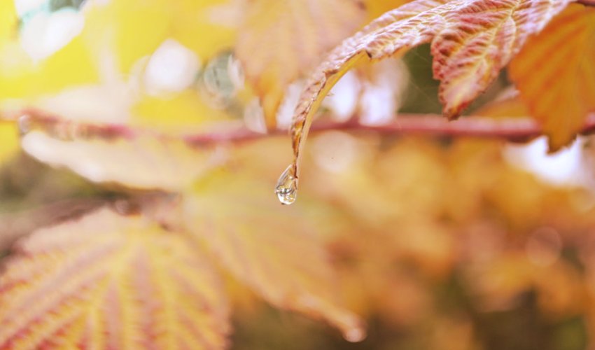 Baku weather forecast for Oct.17