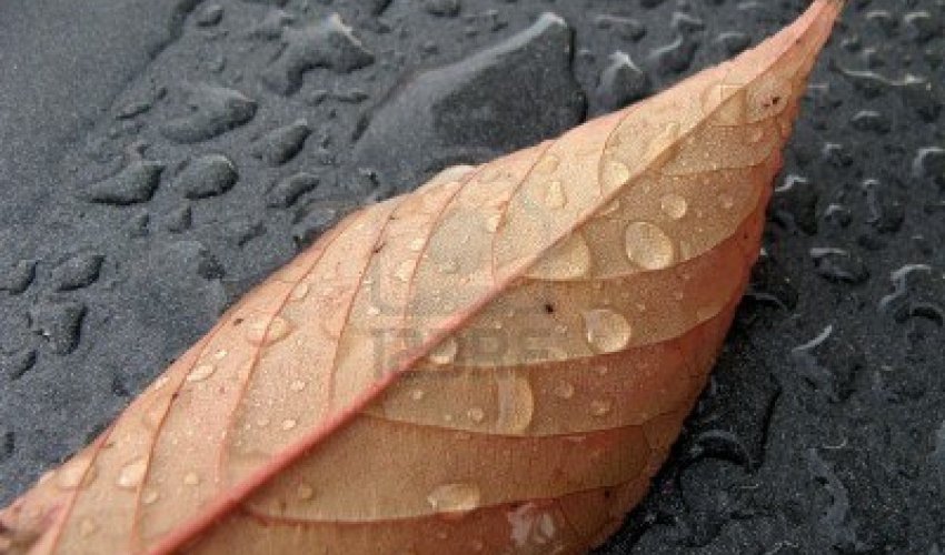 Baku weather forecast for Oct.22