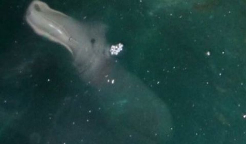 What lies beneath? What lies beneath?