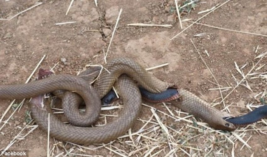 So who attacked first?