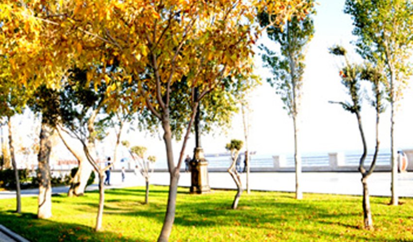 Baku weather forecast for Nov. 5