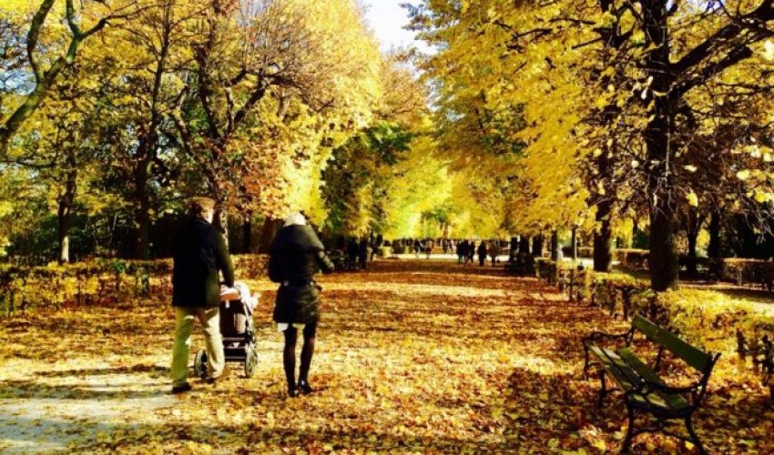Avropa şəhərləri: Qızıl Vyana - FOTOREPORTAJ