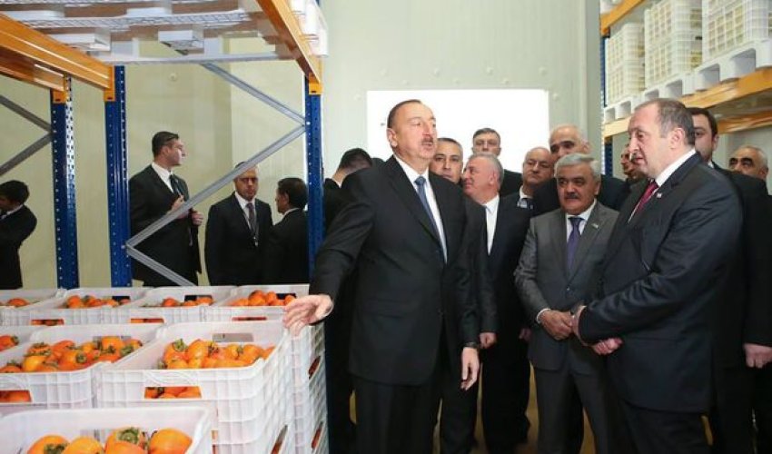 İlham Əliyev Marneulidəki soyuducu anbar kompleksi ilə tanış oldu