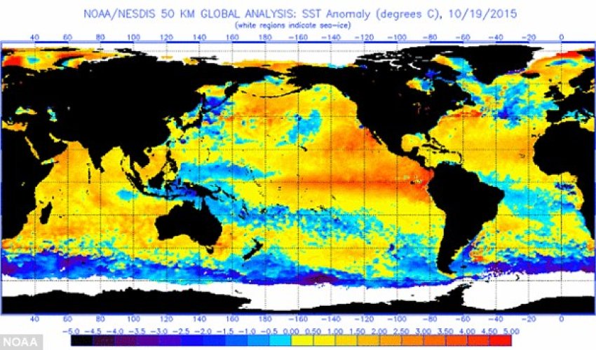 El Nino will be the worst in over 15 years