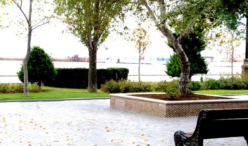 Baku weather forecast for Nov. 24