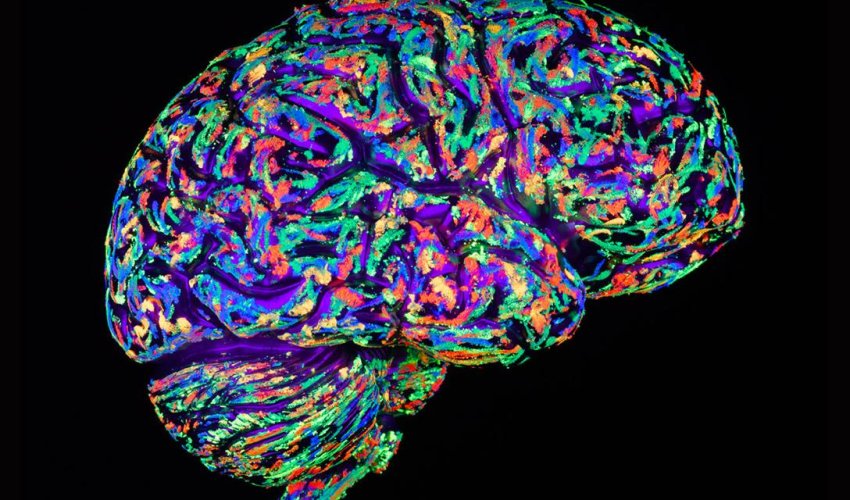 The brain's miracle superpowers of self-improvement The brain's miracle superpowers of self-improvement