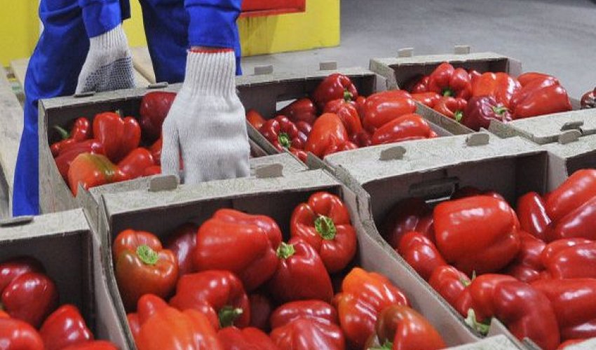 Rusiya Türkiyəni Azərbaycanla əvəz edir