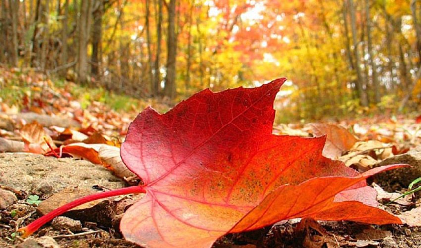 Baku weather forecast for Nov. 27