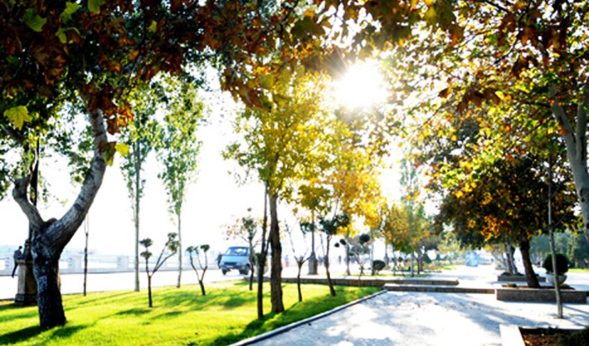 Baku weather forecast for Dec. 2