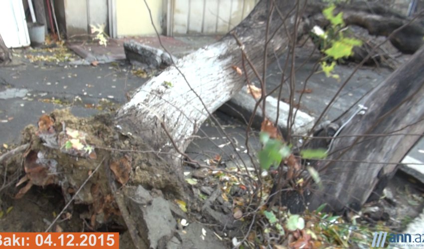 NO COMMENT: Bakı bir gecəyə bu hala düşdü... - ANN.TV