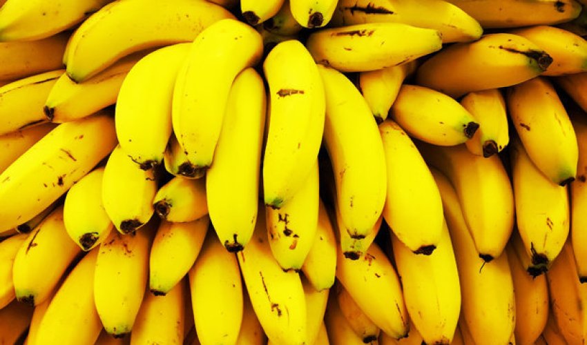 Bananas may be about to become EXTINCT