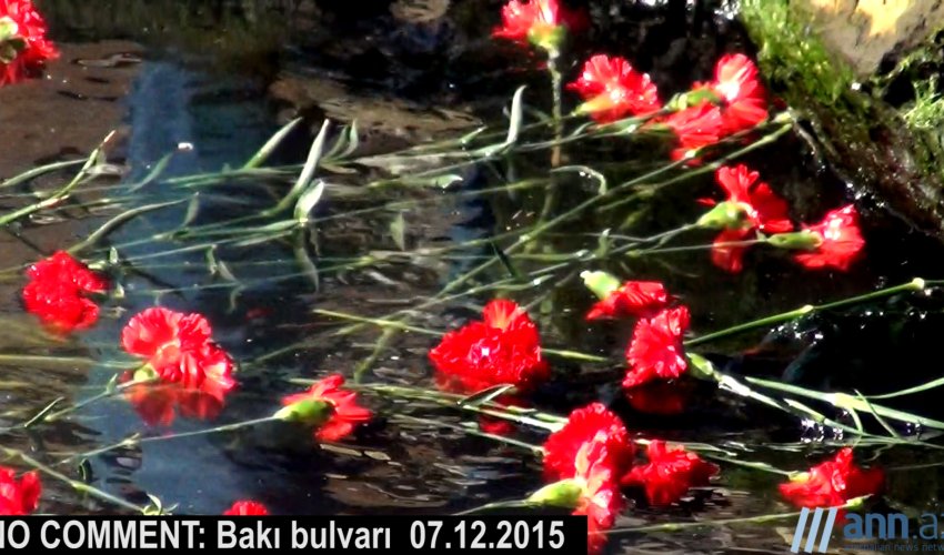 NO  COMMENT: İtkin düşən neftçilərin ANIMI - ANN.TV