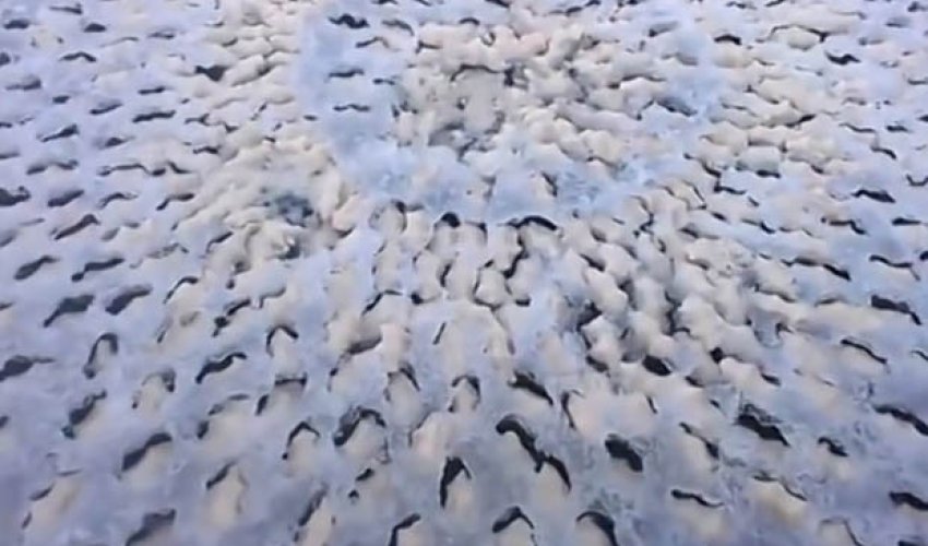 Lads discover bizarre 'alien egg' circle on surface of frozen lake