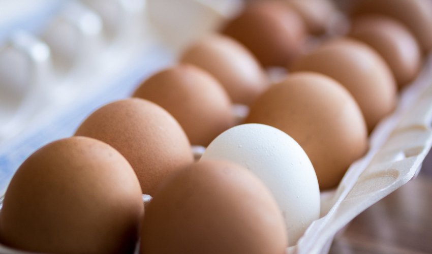 ​Azərbaycanda yumurtanın qiyməti bahalaşdı