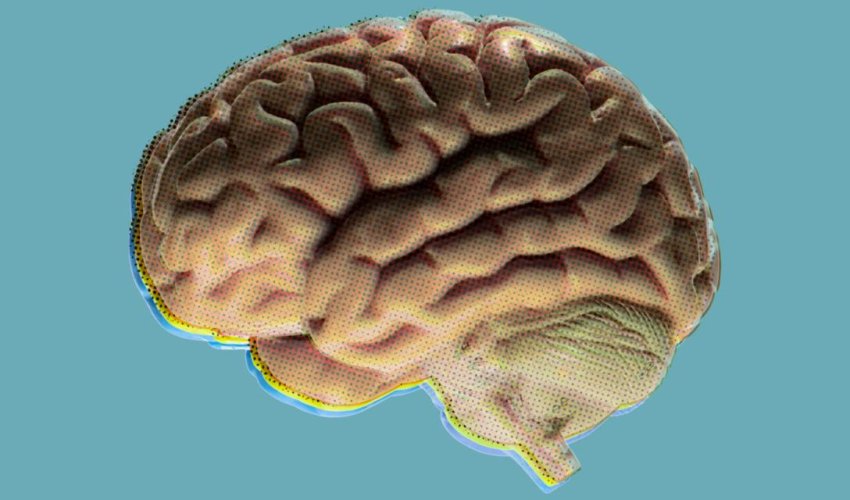 Do you need a more balanced tech diet?