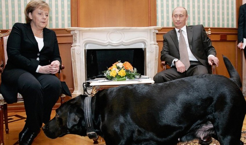 Vladimir Putin: I didn't mean to scare Angela Merkel with my dog Vladimir Putin: I didn't mean to scare Angela Merkel with my dog