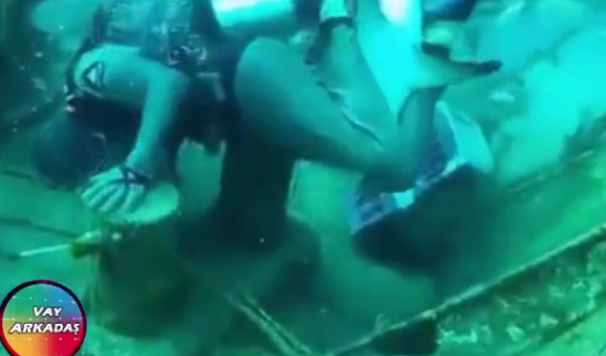 MÜXTƏLİF: Su heyvanları insanlara qəfil hücum etdi
