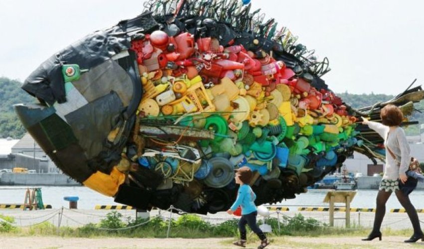 Will there be more fish or plastic in the sea in 2050?