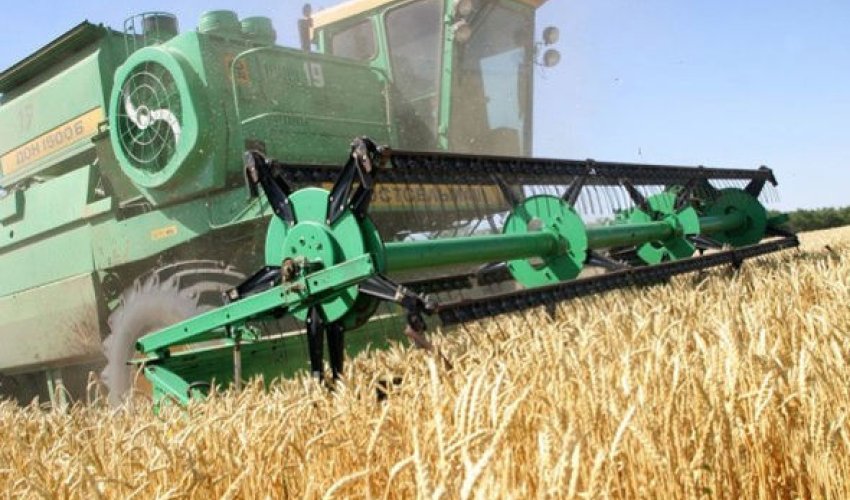 Azərbaycanda “kolxoz” yaradıldı