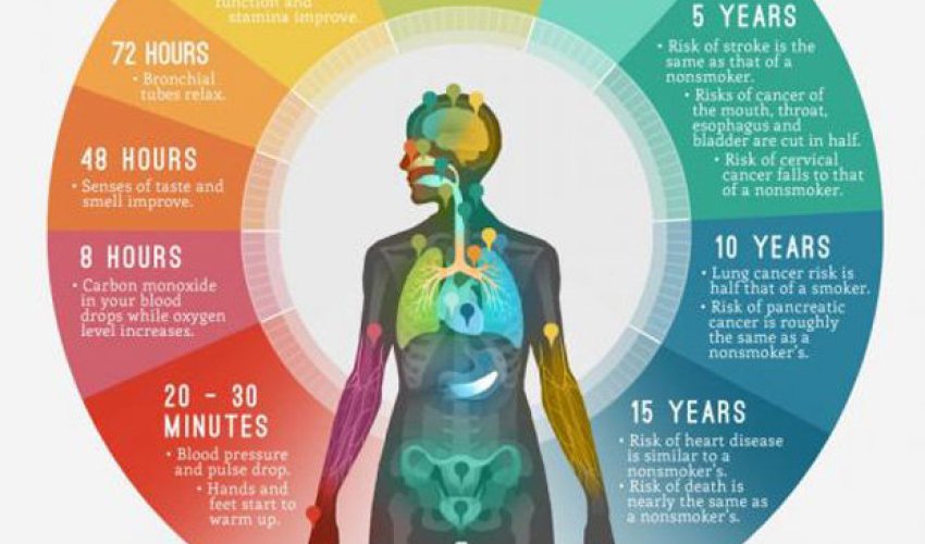 This is what happens to your body after you quit smoking