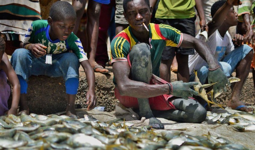 In pictures: Fishing in Sierra Leone