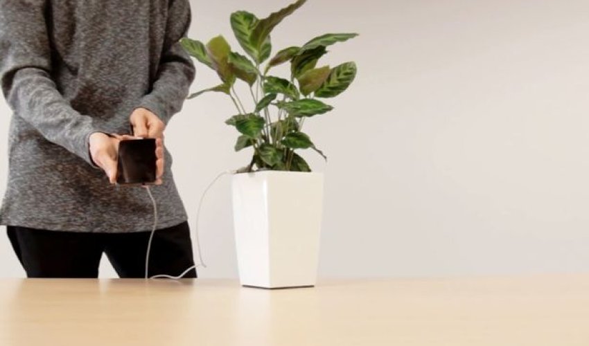 Зарядка смартфонов от горшка