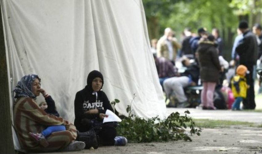 Мигранты стали бизнесменами - ВИДЕО