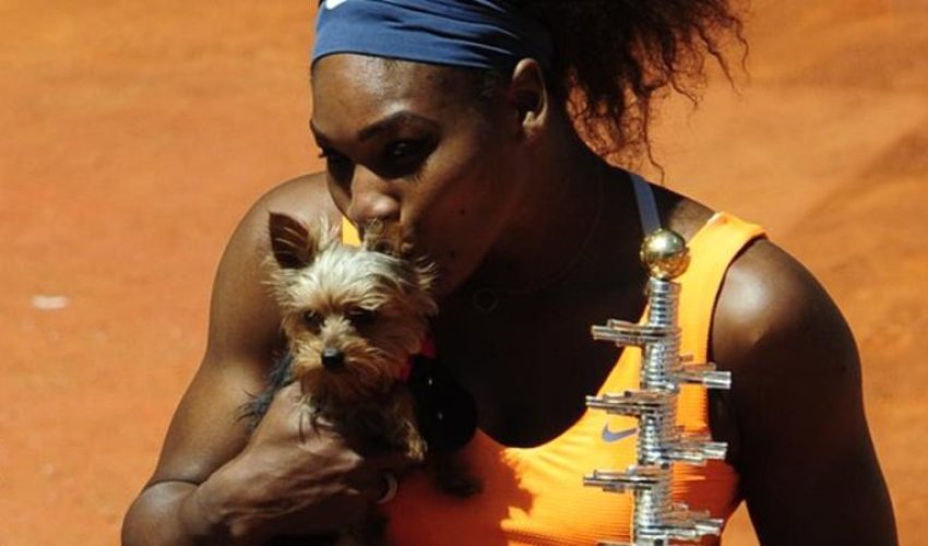 Serena Williams eats dog food but reaches Italian Open quarters