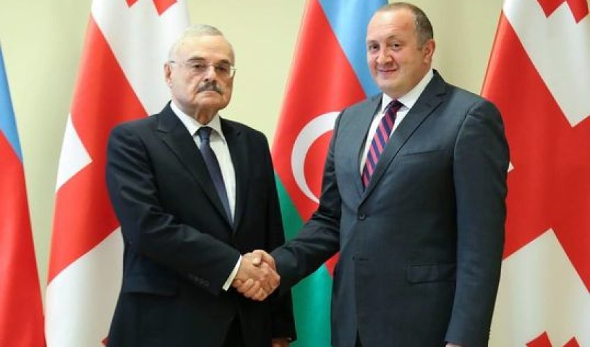 Artur Rasizadə Gürcüstan prezidenti ilə görüşdü 