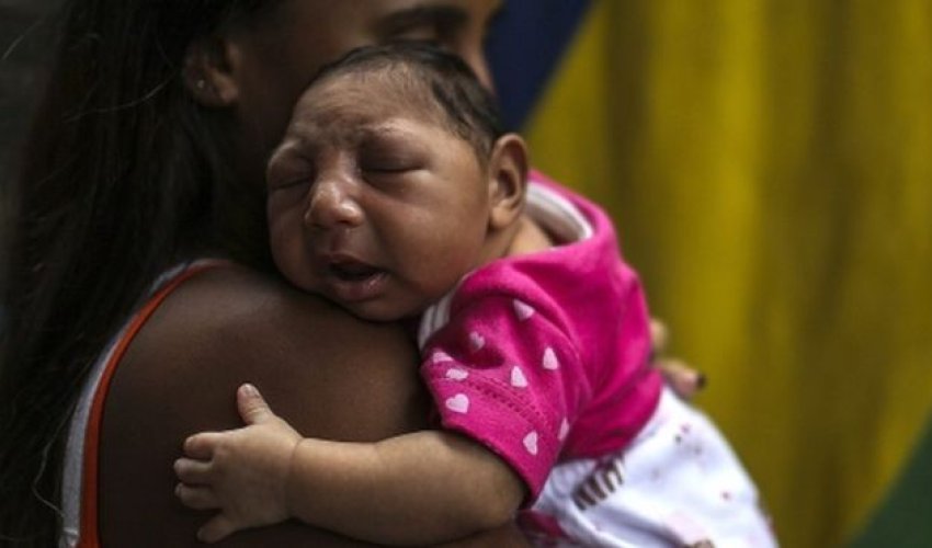 Zika virus may reach Europe this summer