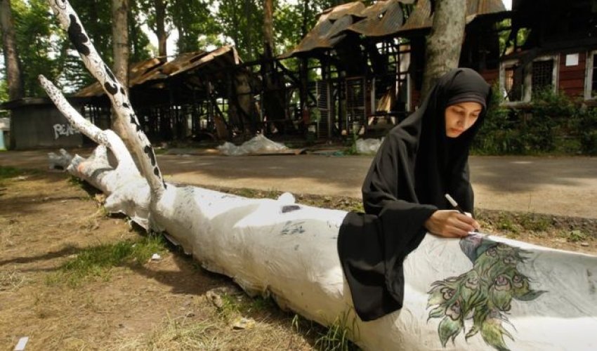 Fallen plane tree becomes symbol of protest in Kashmir