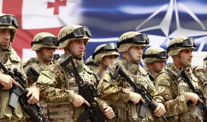 Türkiyə Gürcüstanın NATO-ya üzvlüyünü dəstəklədi