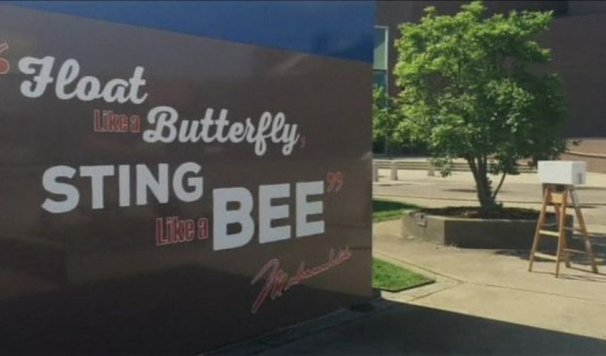 Bees swarm around Muhammad Ali Center in Louisville Bees swarm around Muhammad Ali Center in Louisville
