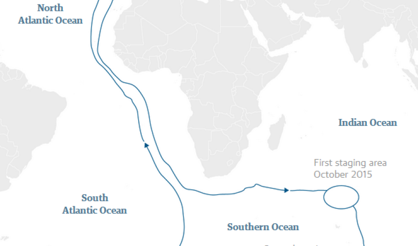 Arctic tern makes longest ever migration – equal to flying twice around the planet Arctic tern makes longest ever migration – equal to flying twice around the planet