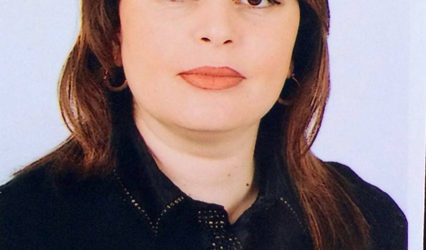 Qulu Məhərrəmlinin yerinə təyinat Qulu Məhərrəmlinin yerinə təyinat