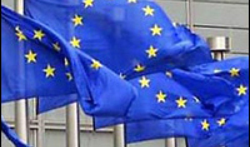 Euro zone economy resilient to Brexit so far