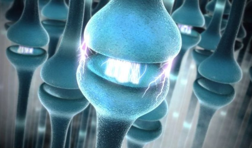 'Hacking nerves can control disease' 'Hacking nerves can control disease'