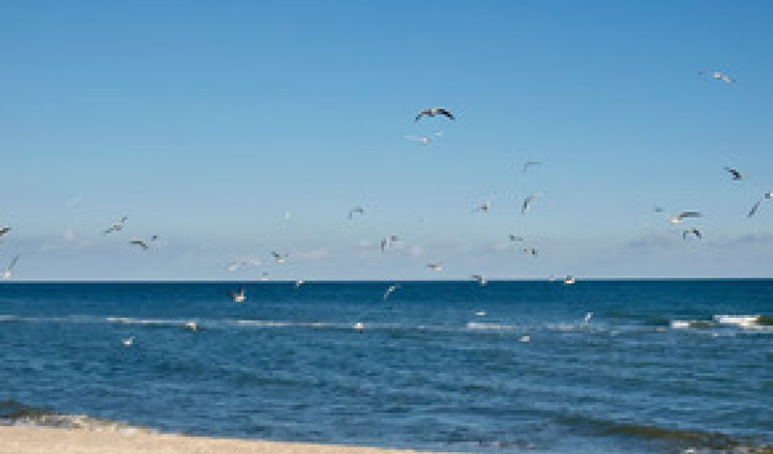 Baku weather forecast for August 17