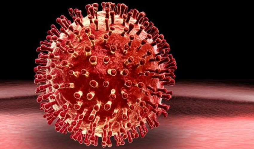 Viruses 'more dangerous in the morning'